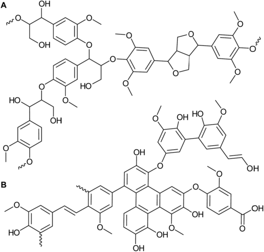 structural models of native lignin (a) and technical lignin