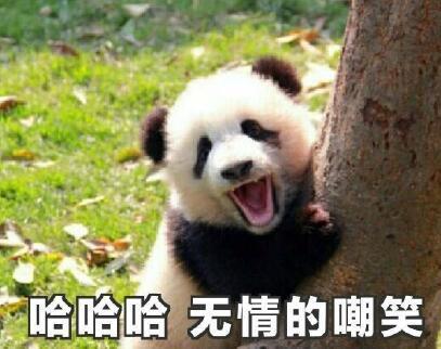 又冷又饿还么人关心