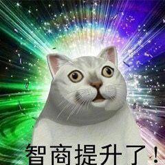 憨憨猫表情包合集|奇怪的知识增加了