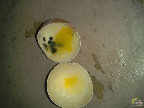 鸡蛋中冒"黑点"~~~看了恶心!
