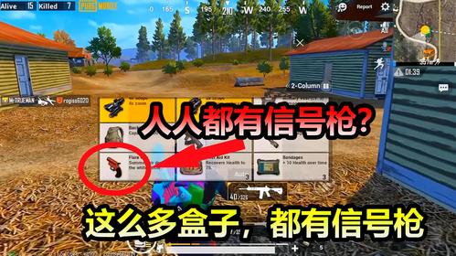 老玩家小熊射击类游戏之刺激战场合集
