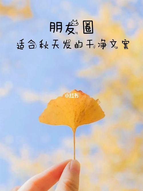 朋友圈---适合秋天发的干净文案_秋天去哪玩_夏天去哪
