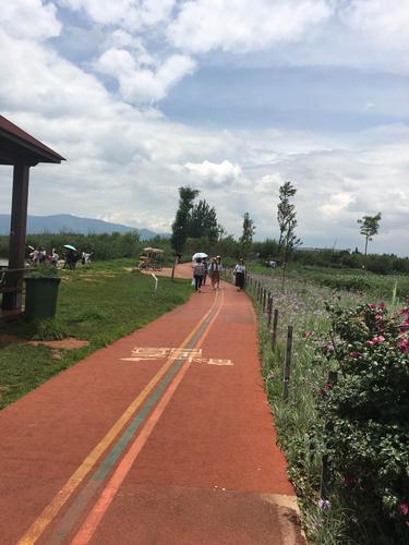 昆明宝丰湿地公园
