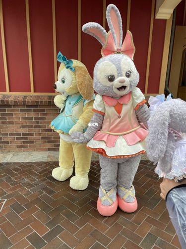 达菲和他的朋友们_达菲_迪士尼怎么样_兴趣爱好_玩具