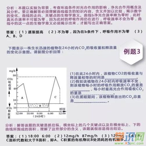 生物必修一光合作用与呼吸作用重要图像解题要点