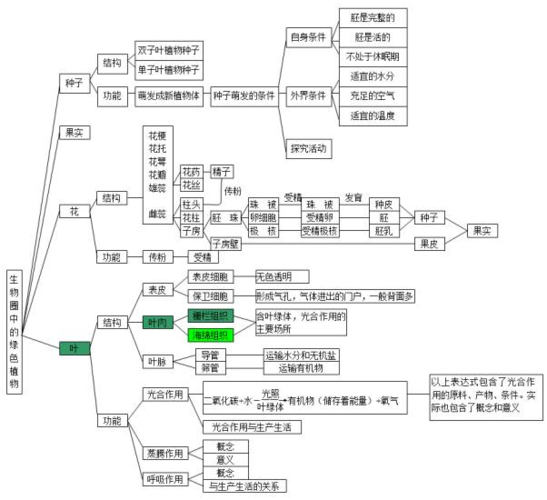 中考生物知识点结构图分类整理:生物圈中的绿色植物