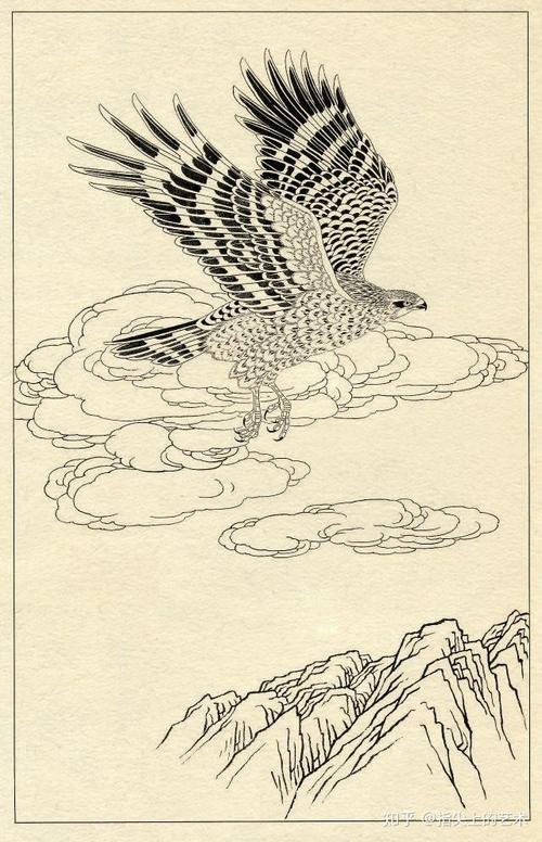 工笔画素材《白描鹰图》
