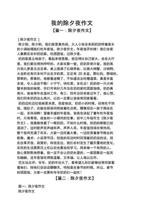 我的除夕夜作文.docx 12页