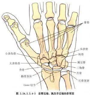 科普腕关节扭伤腕关节尺侧疼痛不可忽视