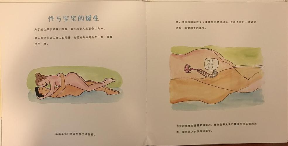 你是这样来的(我从哪里来)书评