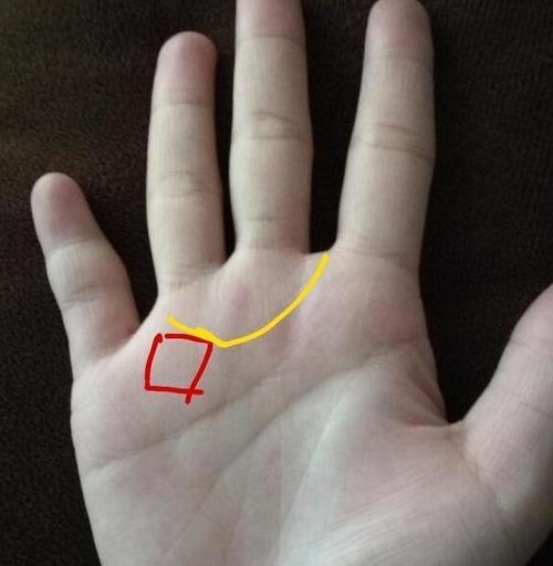 此种手相女生天生富婆命,旺夫益子福气十足!