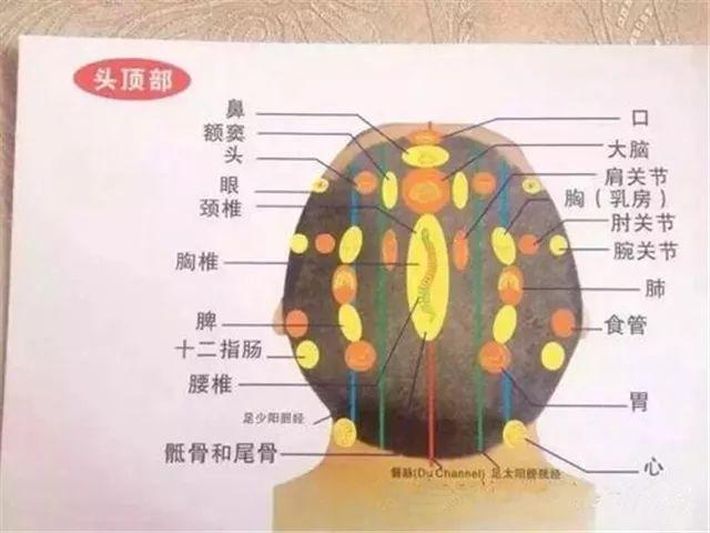 因为疏通了头部14条经络,100多个穴位