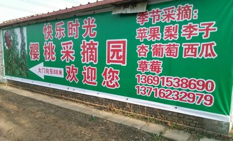 快乐时光樱桃采摘园