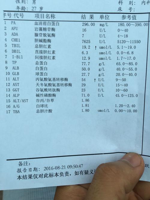 乙肝肝功能化验单