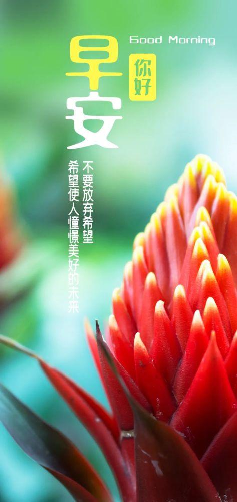 1.早起工作的奋斗的句子有关早起奋斗的句子: 1.