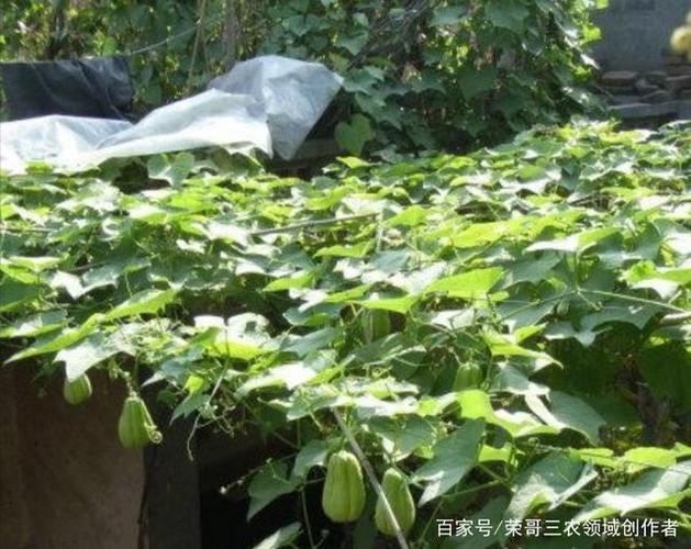 4月最佳目的地:又是清明雨上 绝色风光与你共赏