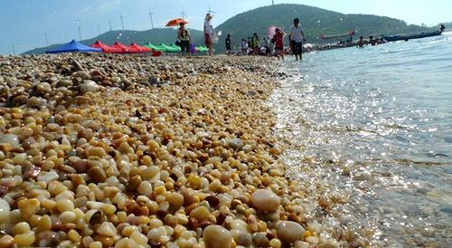 长岛(中国十大最美海岛)姐妹渔家欢迎您