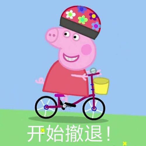 开始撤退