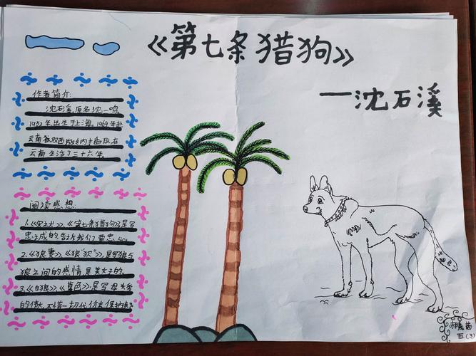 《第七条猎狗》读书分享会