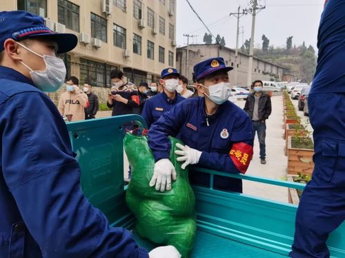 抗疫在行动宜昌消防党员机动突击分队为民服务纪实67