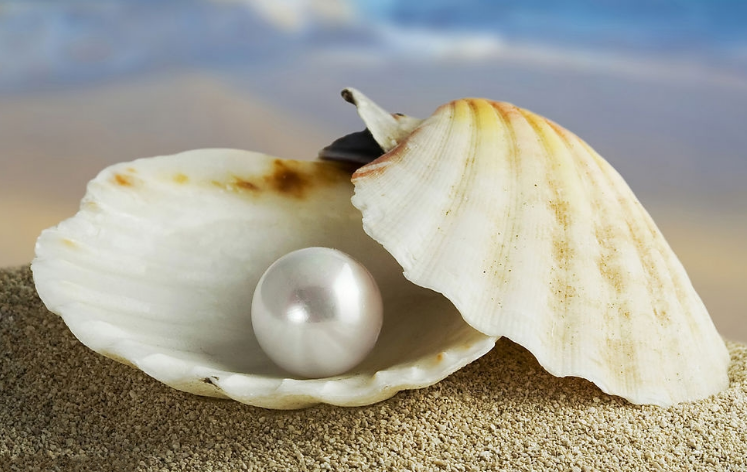 珍珠母和珍珠的区别是什么