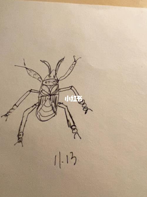 简笔画-小虫子_简笔画_运动_画画_知识_艺术