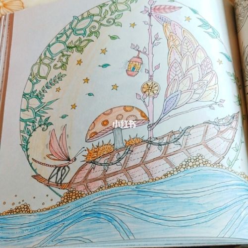 魔法森林_魔法森林怎么样_文化_绘画