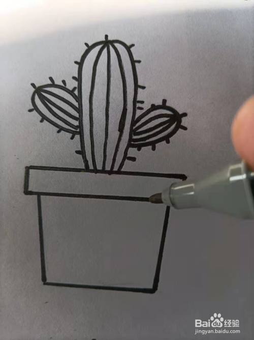 简笔画仙人球教程