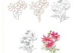 教你画一簇雏菊花简笔画 花卉简笔画画法