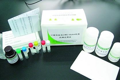 自身抗体试剂盒市场洞察报告