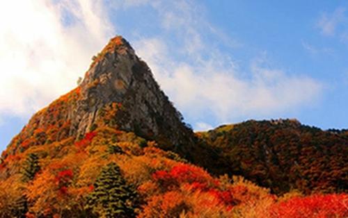 韩国赏枫胜地盘点领略独特枫景