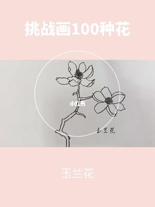 挑战画100种花/第5种 玉兰花_种花_玉兰花_绘画_挑战100天画画打卡