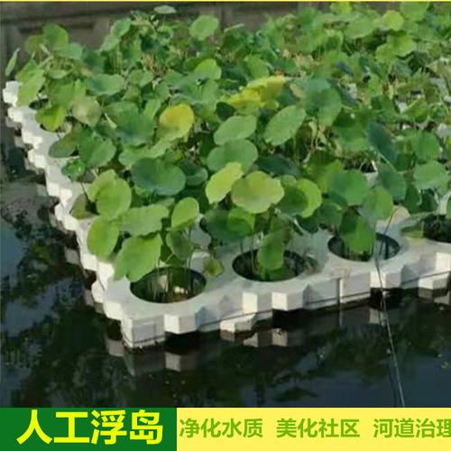 三沙景观浮岛哪里有卖的-生态浮岛多少钱