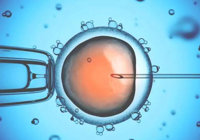 试管婴儿过程中的常见问题解答