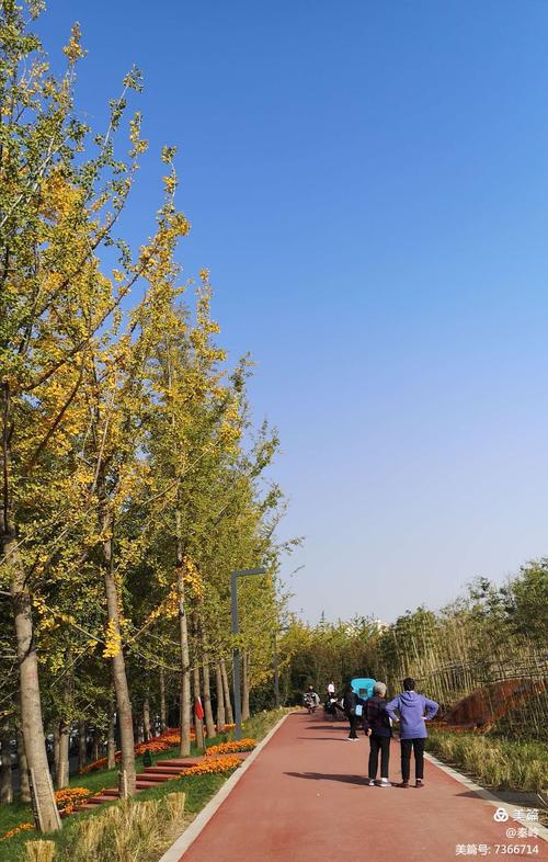 其它 雁南公园游记 写美篇   雁南公园是西安面积较大的城市生态公园