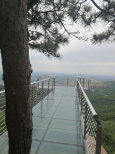 凤仙山-泗水-林中行者