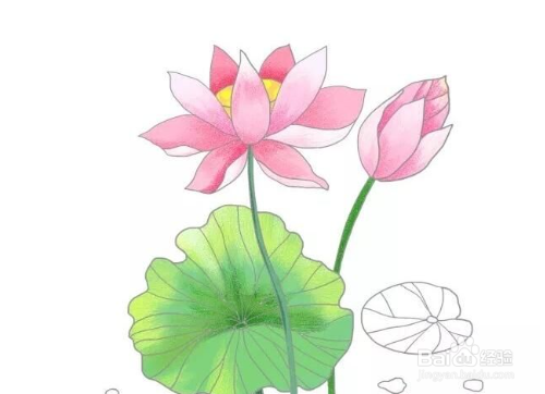 9 最后,做一下修饰,荷花和荷叶上的纹路,还有水面的颜色,最重要的是