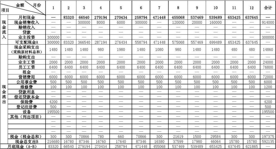 十,现金流量计划表