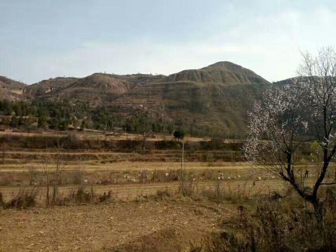 其中洛川县朱牛乡西庄寨村,秦关乡的马姓人口,白水县北塬镇北塬村