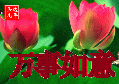 下午好动态表情图下午好问候祝福图片