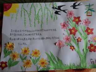 保护小燕子的手抄报 保护手抄报