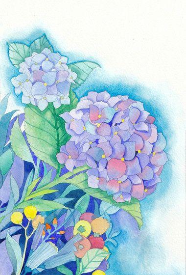 绣球花 #水彩