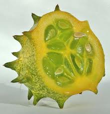 有些点像刺儿瓜,难道是变种的波裂叶刺儿瓜?