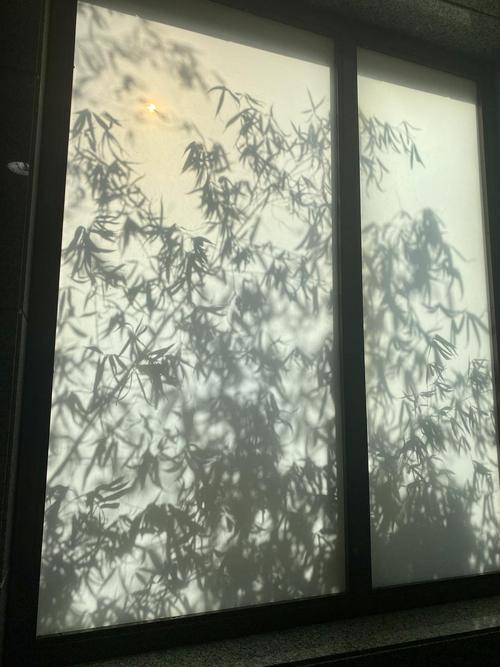 窗上的婆娑竹影