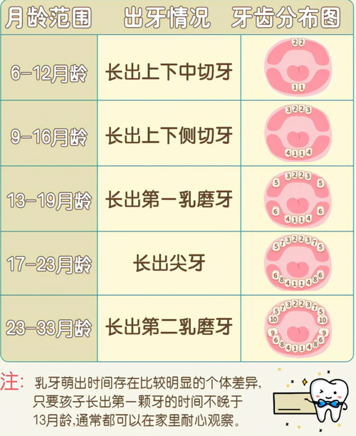 别急,我们今天就来说说宝宝长牙的那些事,帮你解决难题!