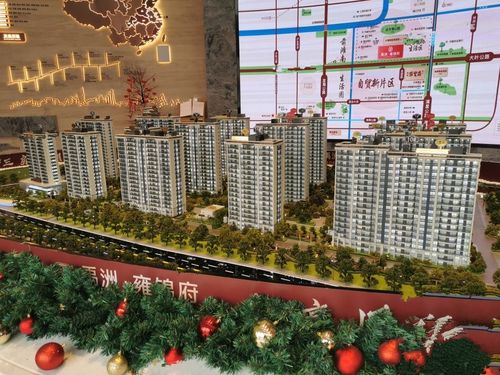 上海奉贤禹洲雍锦府实景图42- 吉屋网