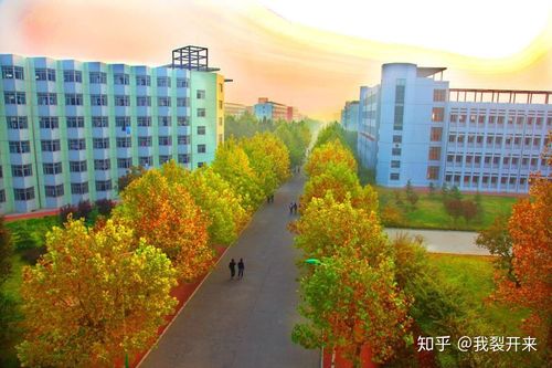 潍坊科技学院的校园环境如何