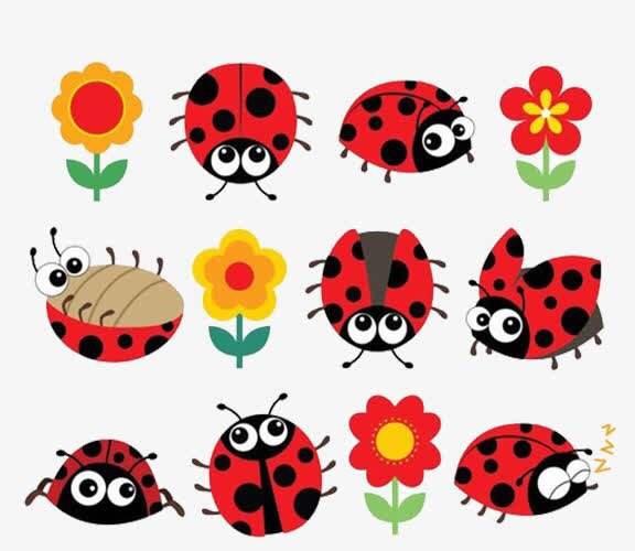 小瓢虫真可爱 花衣裳穿起来——一年级美术课实记