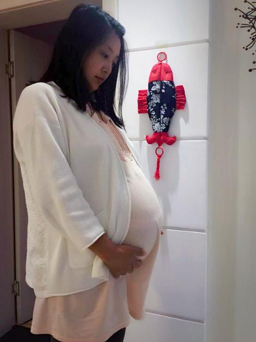 怀孕第226天,距离足月还有33天.大肚子低头已经看不到脚了.