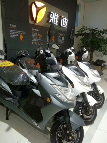 雅迪-战途,经济实惠型,加长版战字排行榜no.